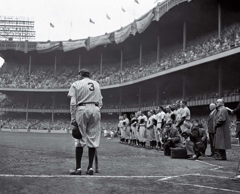 New York Yankees Babe Ruth Canvas
