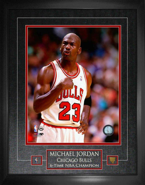Chicago Bulls Michael Jordan 16 x 20 Etched Mat Fist Pump