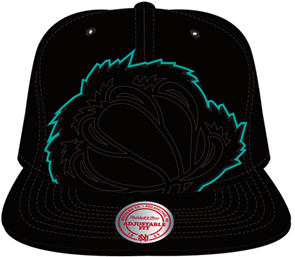 Vancouver Grizzlies Cropped Snapback Hat