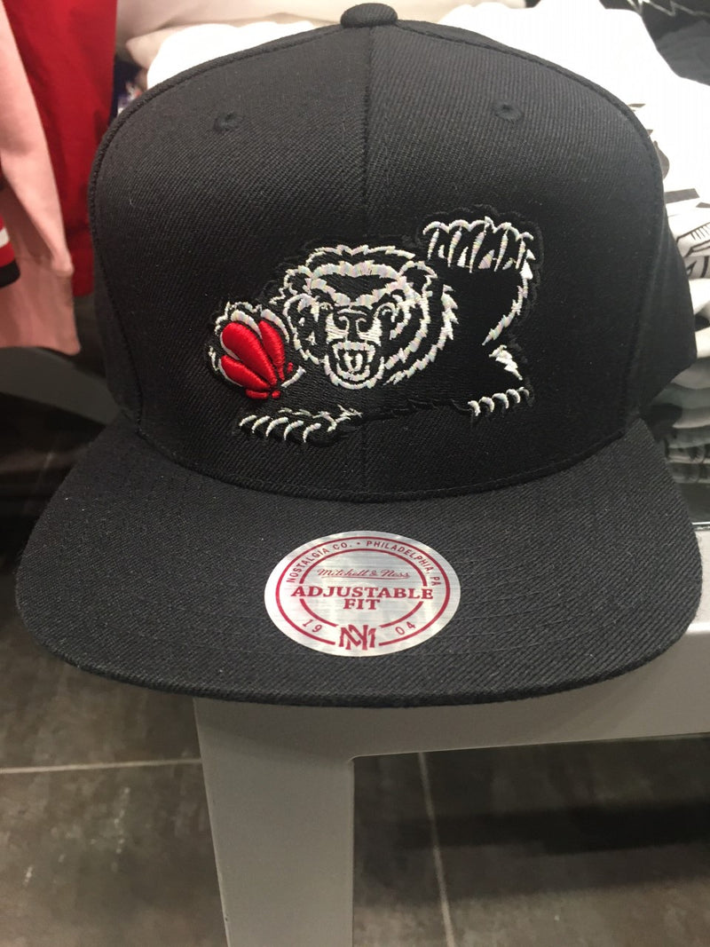Vancouver Grizzlies Iridescent Hat