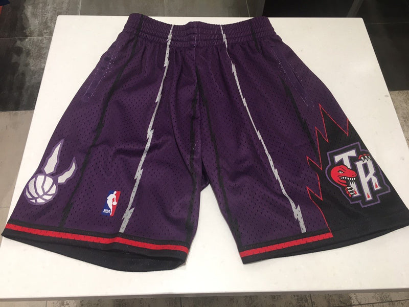 Toronto Raptors Purple Swingman Shorts