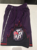Toronto Raptors Purple Swingman Shorts