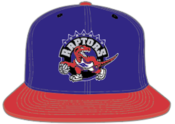 Toronto Raptors Purple & Red 2 Tone Snapback