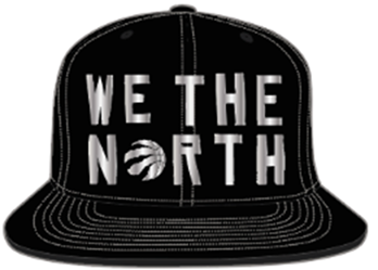Toronto Raptors We The North Black & Silver Snapback