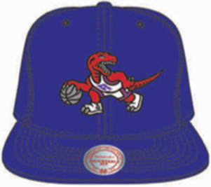 Toronto Raptors Purple Team Ground Snapback