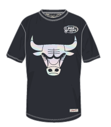 Chicago Bulls Iridescent T-Shirt