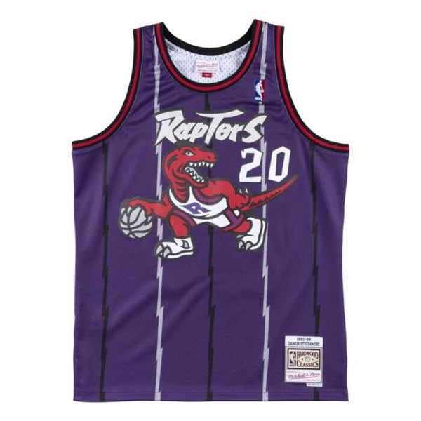 Toronto Raptors Damon Stoudamire Jerseys Purple & White