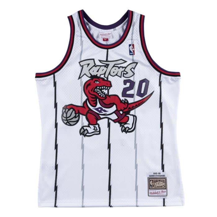 Toronto Raptors Damon Stoudamire Jerseys Purple & White