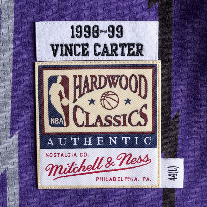 Toronto Raptors Vince Carter Swingman Jerseys Purple & Black