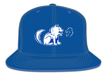 Toronto Huskies Snapback