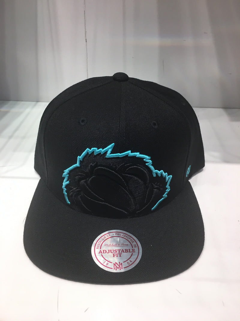 Vancouver Grizzlies Cropped Snapback Hat