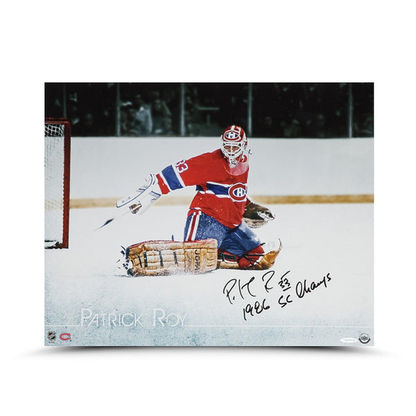 Montreal Canadiens Patrick Roy Photo 16 x 20 Framed - The Save