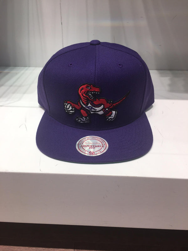 Toronto Raptors Purple Team Ground Snapback