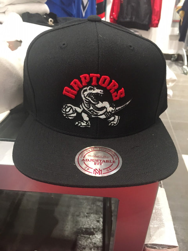 Toronto Raptors Iridescent Hat