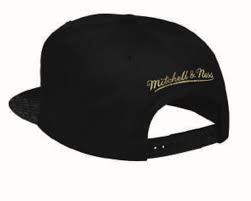 Toronto Raptors Top Boss Leather Brim Hat